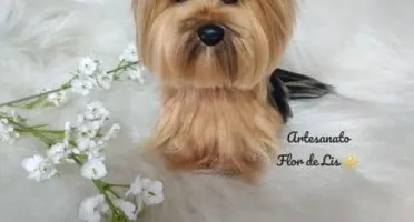 Miniatura Yorkshire - Amigurumi de Crochê com Feltragem