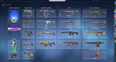 Conta de valorant muitas skins e facas!