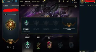 CONTA PLATINA 1