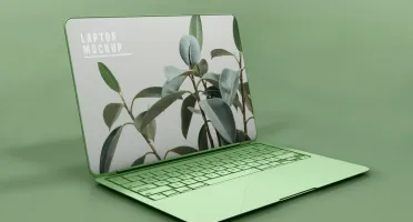 Psd mockups