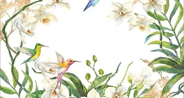 Jogo Americano Orquídeas e Beija-Flores