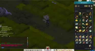Conta Wakfu - OGREST