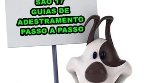 Adestramento de Pet