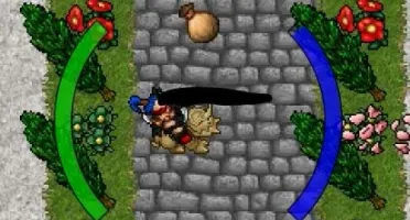 Vendo (EK LvL 242 -skills 112/107) + (MS LvL 221 -mL 90) !!