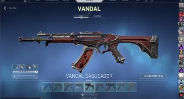 Conta Valorant 1200 reais gastos desde o Beta