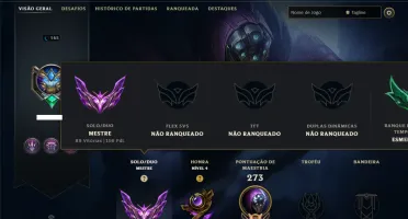 Mestre com 110 Champs e 24 Skins ( 156 PDL )