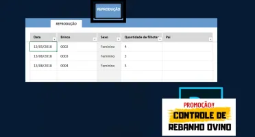 Planilha para Controle de Rebanho Ovino Completo