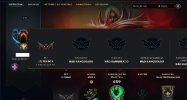 Unranked com TODOS os Champs e 214 Skins ( ADC / SUP / JG )