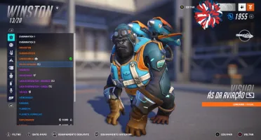 Conta de overwatch PC(Funciona em todas as plataformas)
