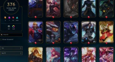Conta League of Legends 376 Skins