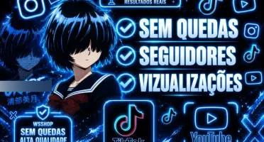 SEGUIDORES INSTAGRAM / SEGUIDORES BRASILEIROS