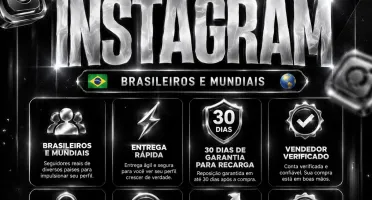 SEGUIDORES INSTAGRAM / SEGUIDORES BRASILEIROS