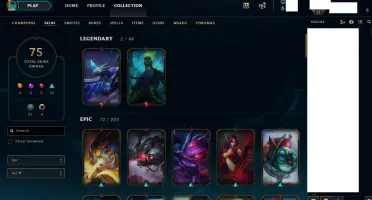 Venda conta de League of Legends lv 31 (Unranked) (75 skins)