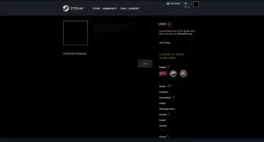 Cs2 3K Horas|2Medalhas|Email Original|Lvl12gc|Prime|Passe