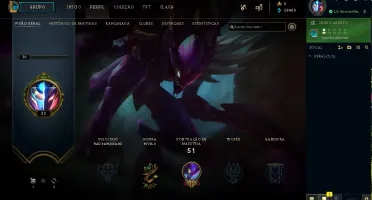 Conta LVL 30