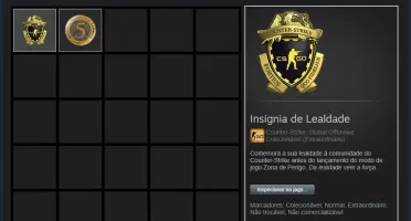 CONTA STEAM CSGO PRIME MEDALHAS LEALDADE E 5 ANOS DE SERVIÇO