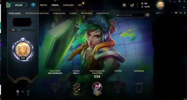 unranked ex platina 45 skins mmr bom