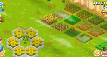 Conta Hay Day lvl 80