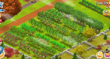 Conta Hay Day lvl 80