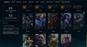 Unranked com 30 Champs e 10 Skins
