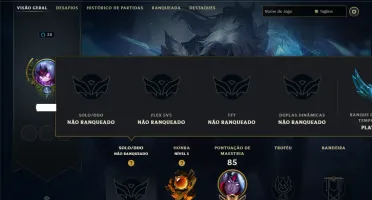 Unranked com 30 Champs e 10 Skins