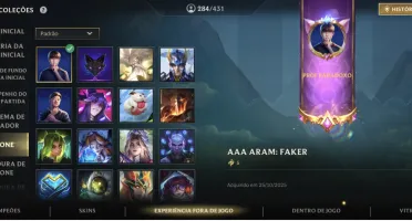 Conta Wild Rift 535 skins