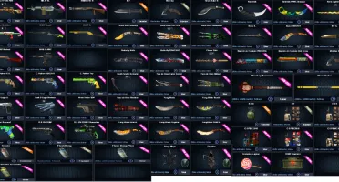 V>Conta PointBlank