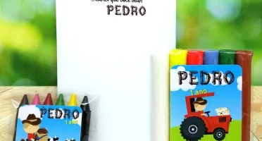 Kit Colorir e Modelar Fazendinha com Sacola Kraft P