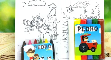 Kit Colorir e Modelar Fazendinha com Sacola Kraft P