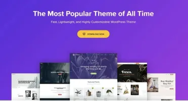 Tema Astra Pro Wordpress Premium Licença Vitalícia 2026