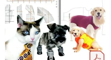 80 Moldes Ropa Mascotas Perros y Gatos + Modelado Quirúrgico