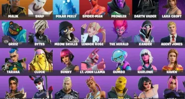 CONTA FORTNITE BARATINHA / 38 SKINS / 800 VBUCKS