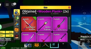 Conta de roblox blox fruits.