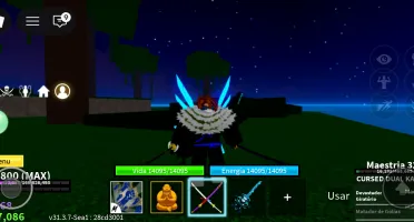 Conta de roblox blox fruits.