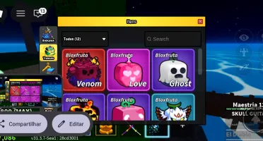 Conta de roblox blox fruits.