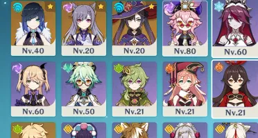 AR 51 Eula,Shogun Raiden,Yelan,Xiao+Homa,Keqing,Mona,