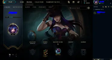 Conta lvl 17 Com Skin de Comemoração 31415 EA