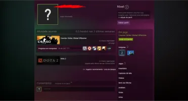 CONTA CSGO PRIME + JOGOS [ 1 ANO DE SERVIÇO ]