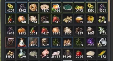 Conta BDO SA