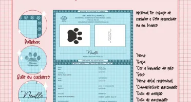 Vou fazer um documento para o seu Pet