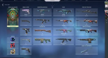 conta valorant com algumas skins