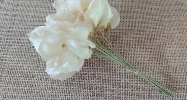 Haste Bougainville (10 unidades)