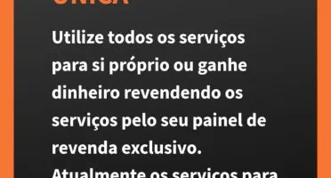 Seguidores e Curtidas