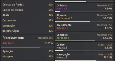 Conta Bdo 800 Gs