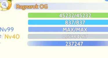Conta ENDGAME 240K POWER Ragnarok Origin Classic