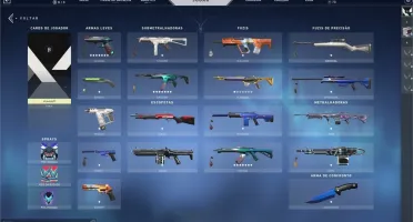 Conta valorant full skins