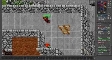 Royal Paladin Level 162+ EK e MS