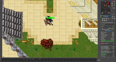 Royal Paladin Level 162+ EK e MS