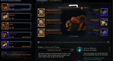 Conta Neverwinter Arcgames