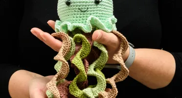 Polvo Colorido em Amigurumi
